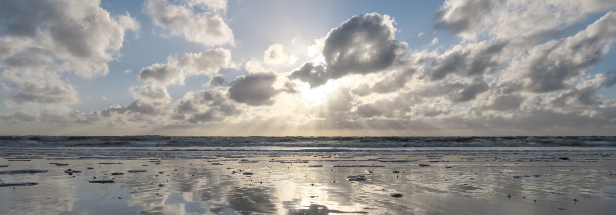 Förderverein Hospiz am Meer