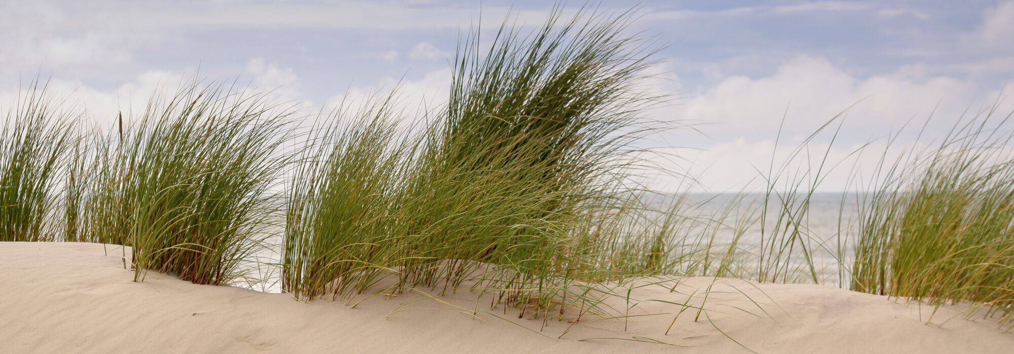 Förderverein Hospiz am Meer